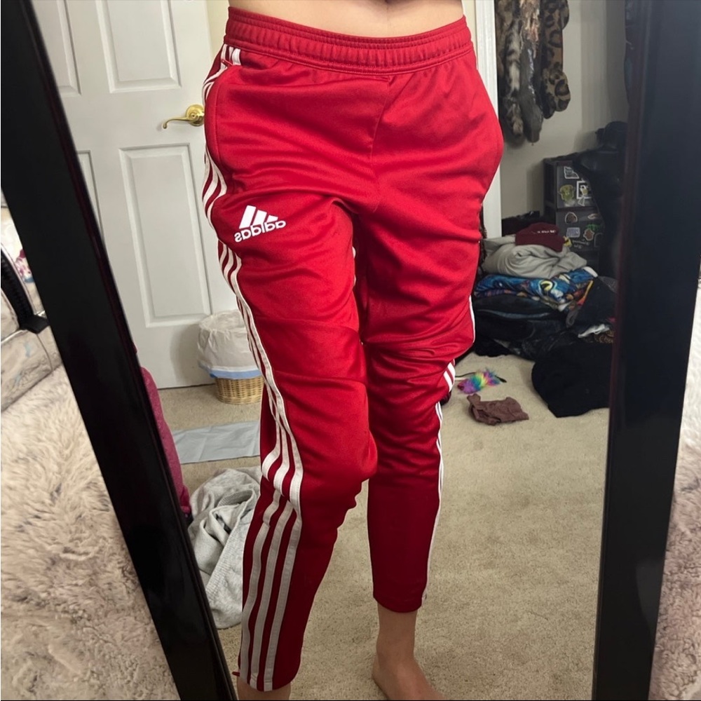 Adidas Pants